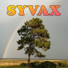 Syvax